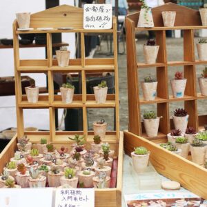 2025keramosu＋ (19)