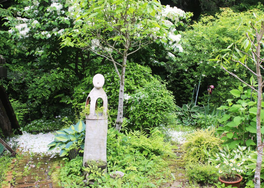 2025釜戸の上 (11)