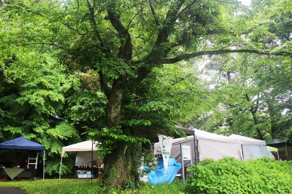 2025日連神社 (2)
